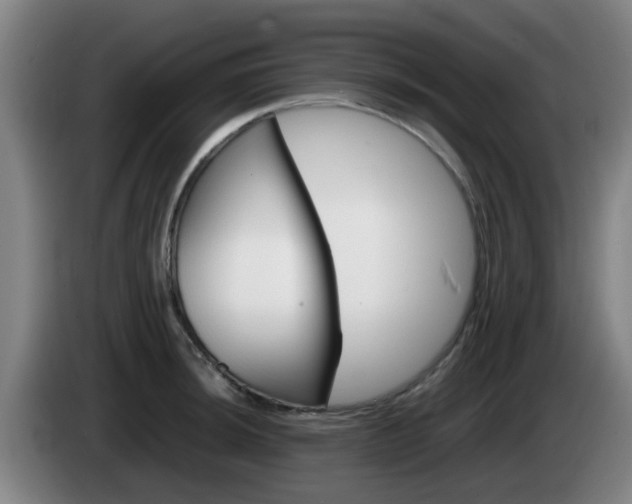 X0000085271044200703090911