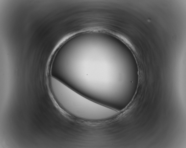 X0000085271046200703090911