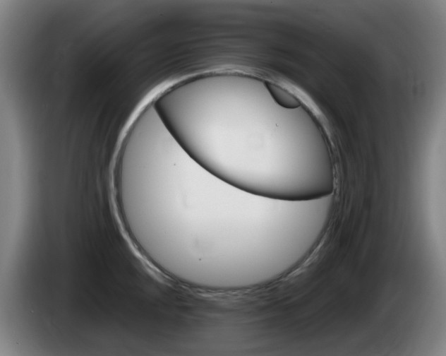 X0000085271048200703090911