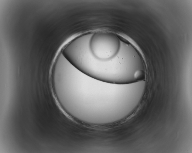 X0000085271053200703090911