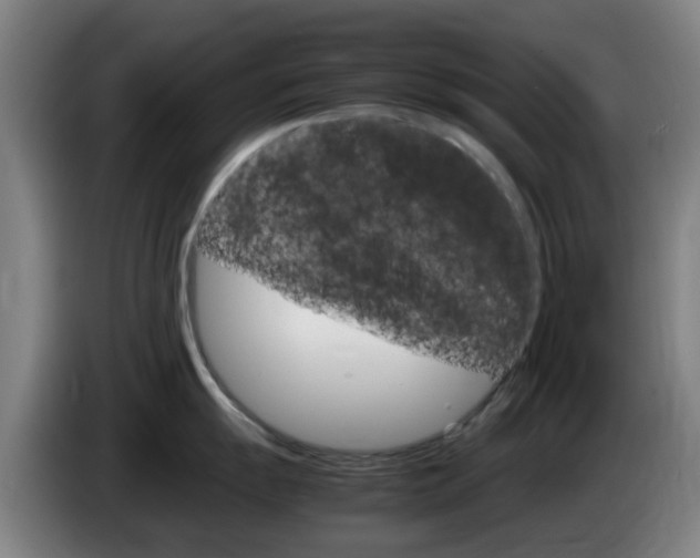 X0000085271055200703090911
