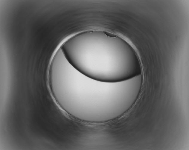 X0000085271056200703090911