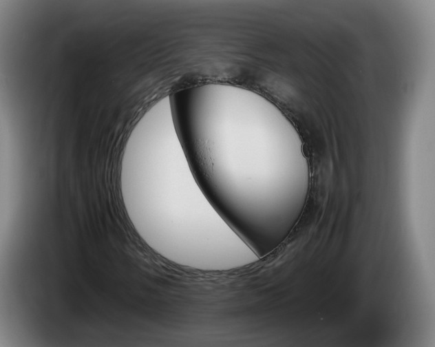 X0000085271058200703090911