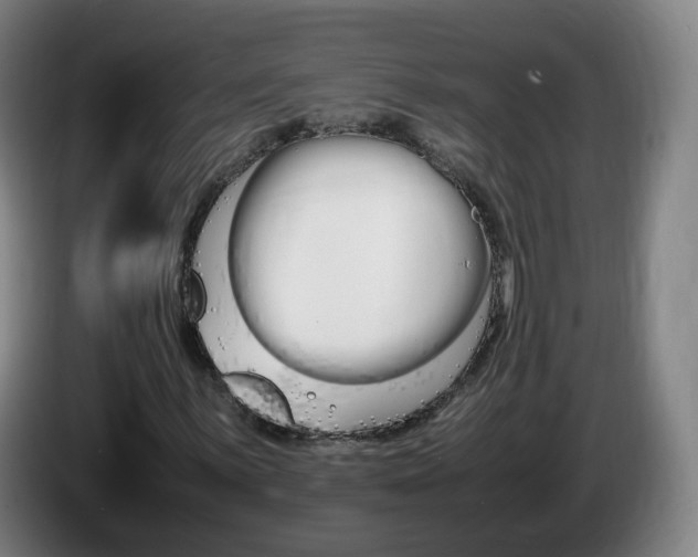 X0000085271059200703090911