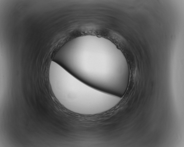 X0000085271060200703090911