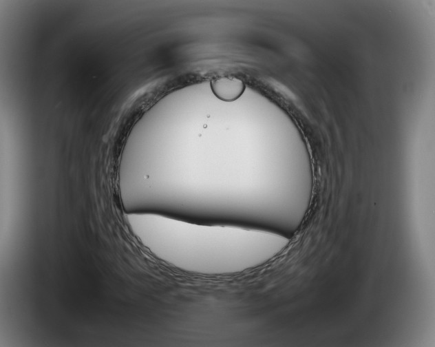 X0000085271063200703090911