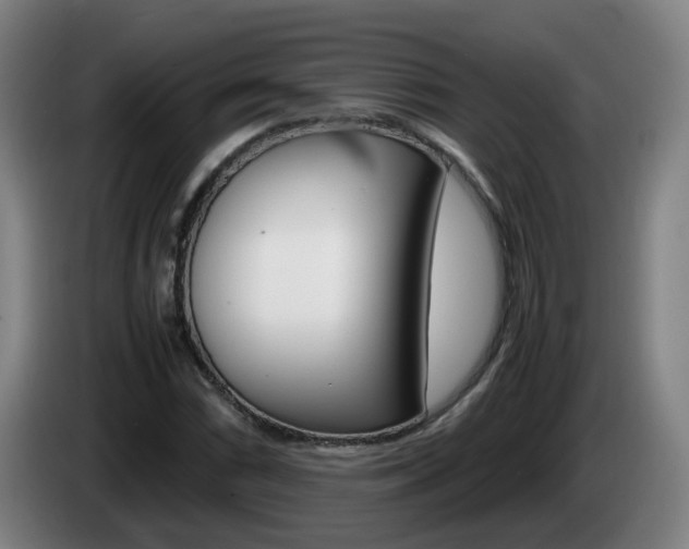 X0000085271066200703090911