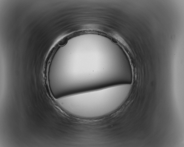 X0000085271068200703090911