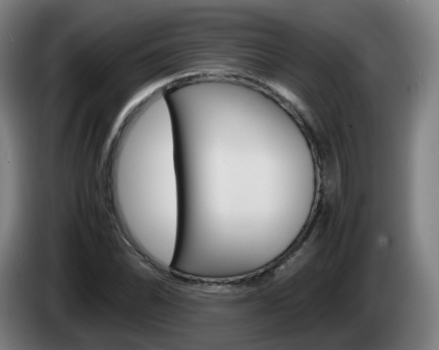 X0000085271070200703090911