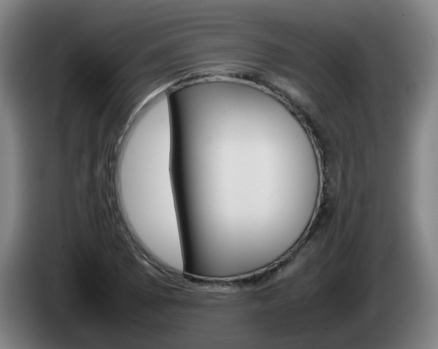 X0000085271073200703090911