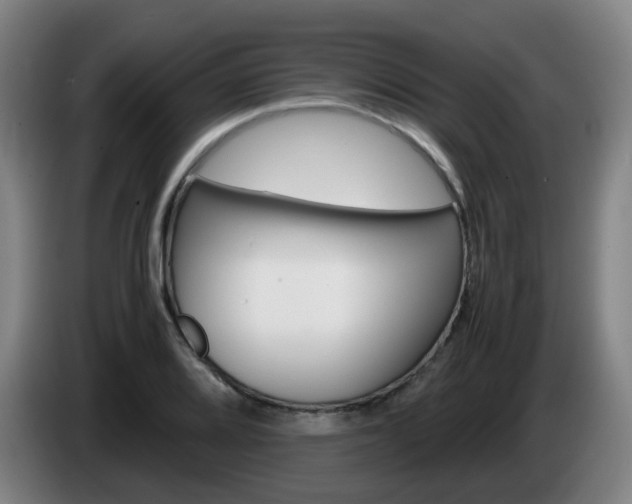X0000085271080200703090911