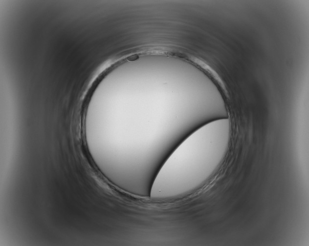 X0000085271083200703090910