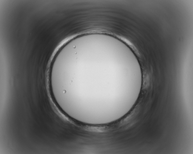X0000085271086200703090910
