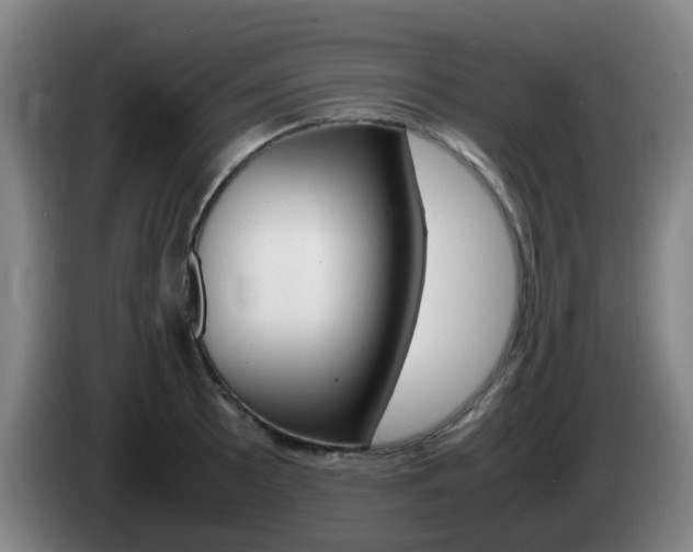 X0000085271089200703090910