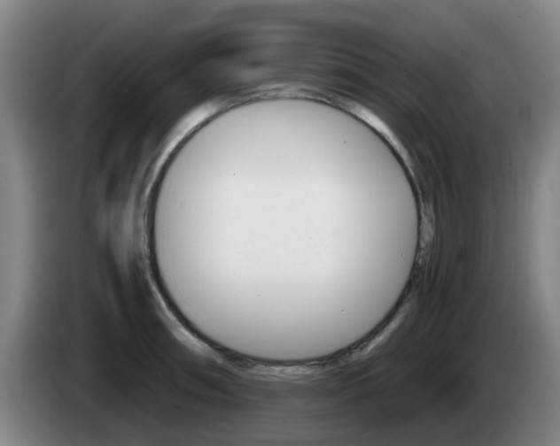 X0000085271090200703090910