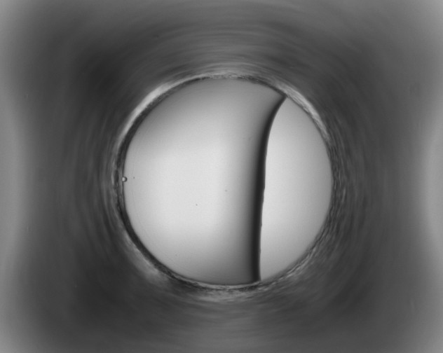 X0000085271091200703090910