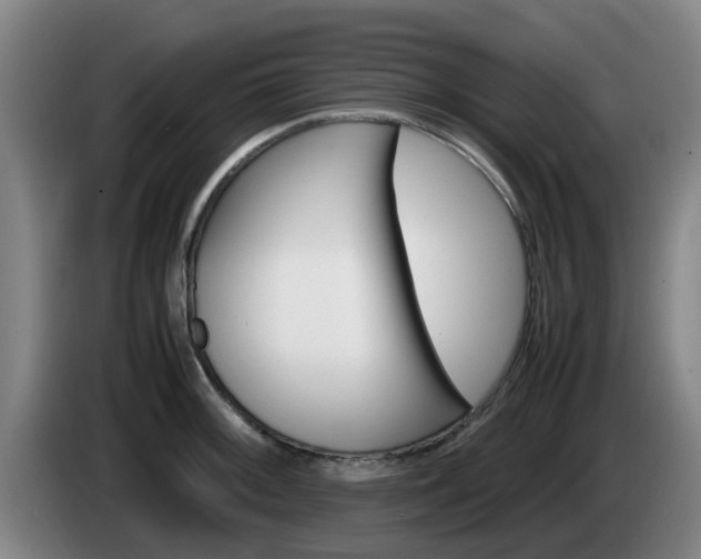 X0000085271092200703090910