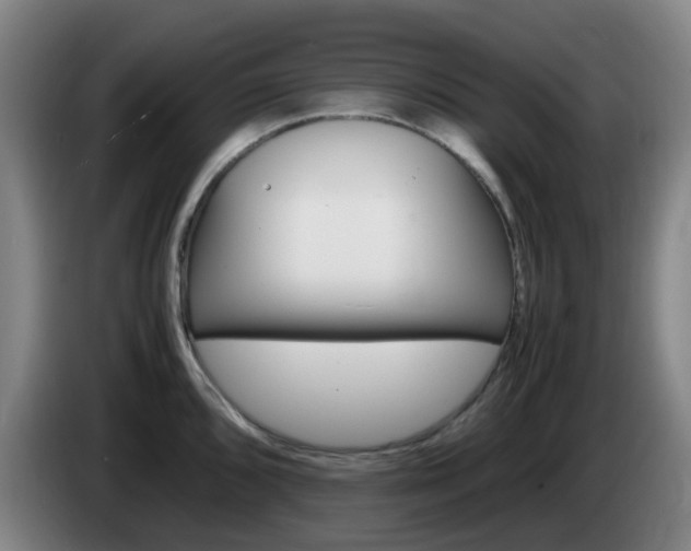 X0000085271096200703090910