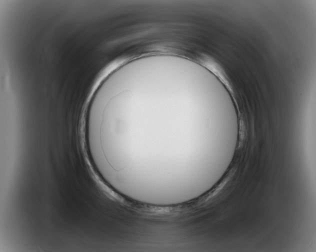 X0000085271098200703090910