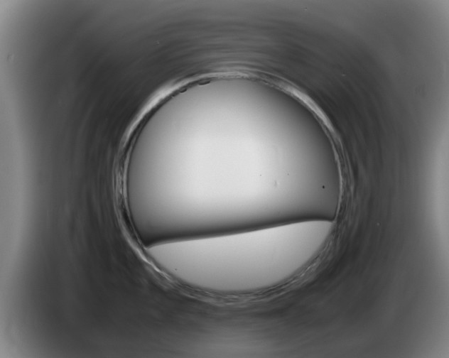 X0000085271101200703090910