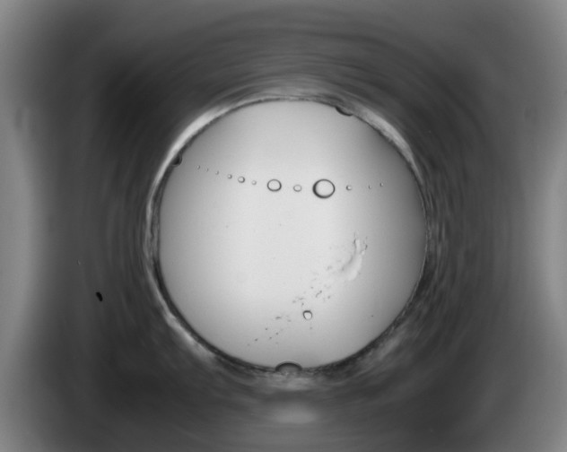 X0000085271103200703090910