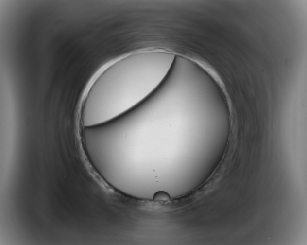 X0000085271104200703090910