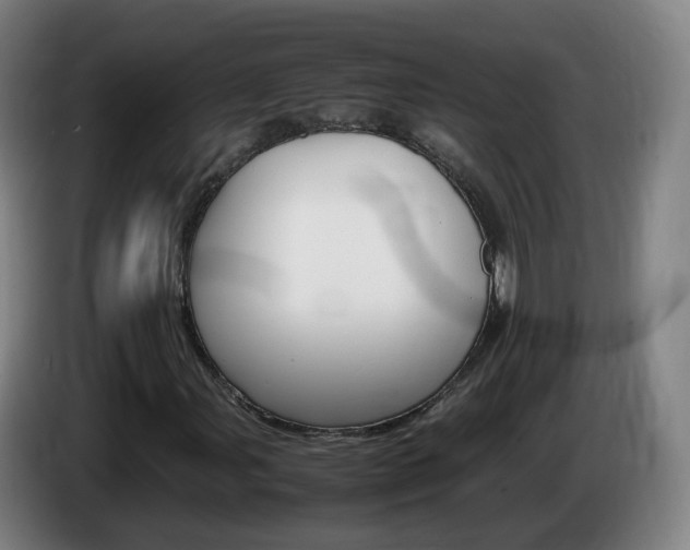 X0000085271107200703090910