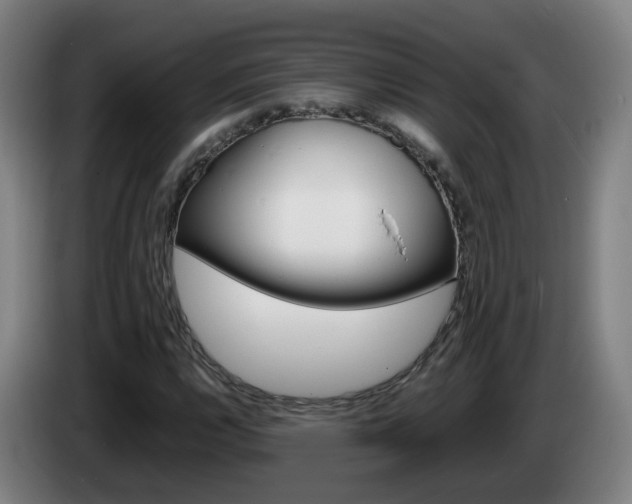 X0000085271112200703090910
