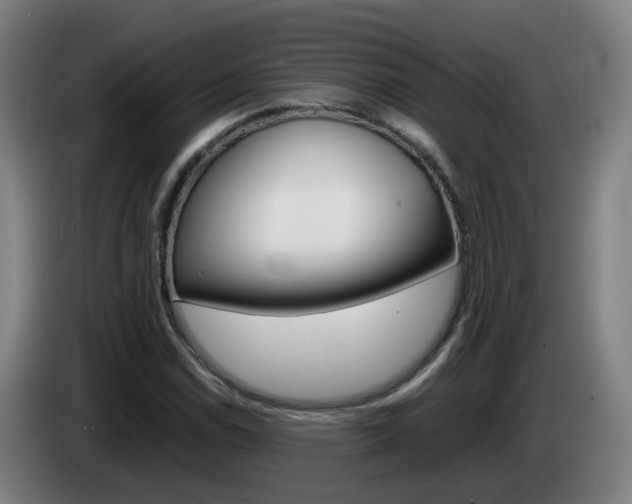X0000085271114200703090910
