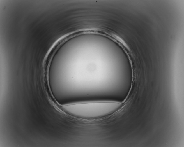 X0000085271116200703090910