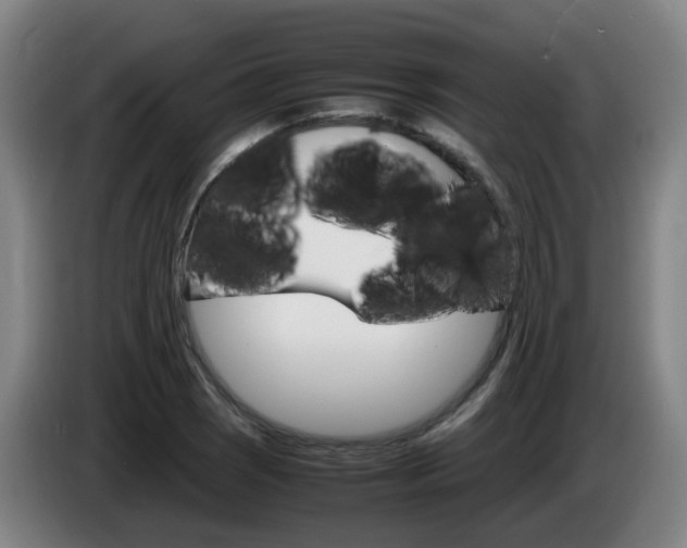 X0000085271121200703090910