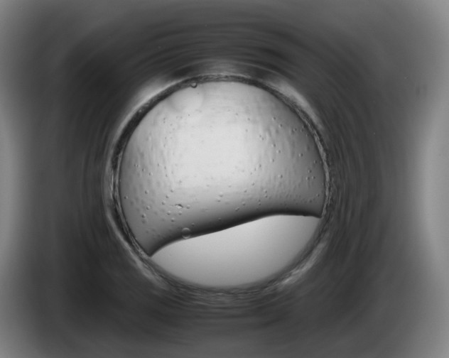 X0000085271125200703090910