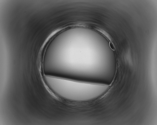 X0000085271131200703090910