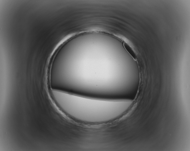 X0000085271134200703090910