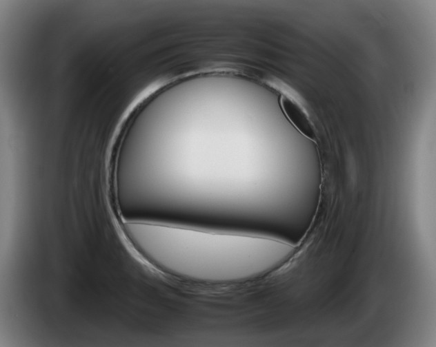 X0000085271135200703090910