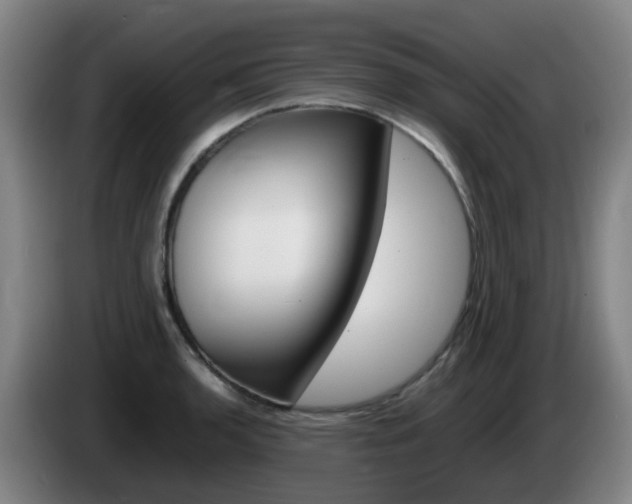 X0000085271136200703090910