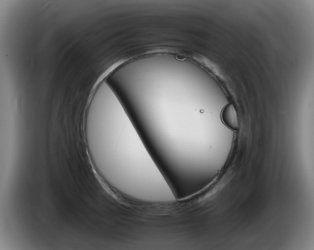 X0000085271137200703090910