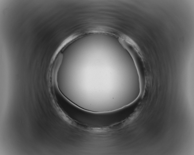 X0000085271138200703090910