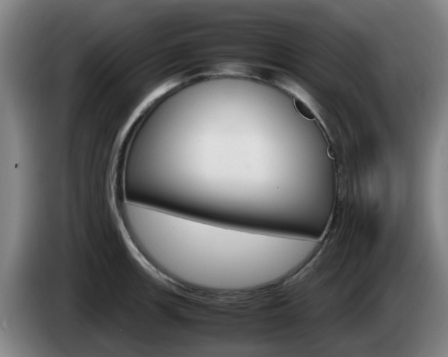 X0000085271139200703090910