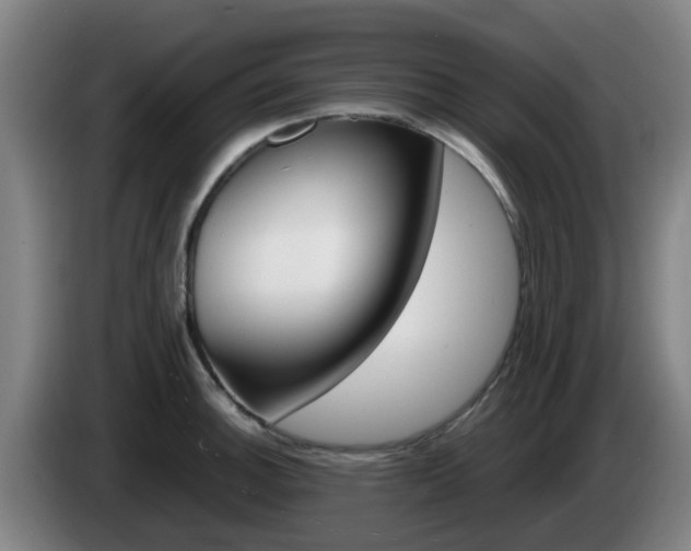 X0000085271140200703090910