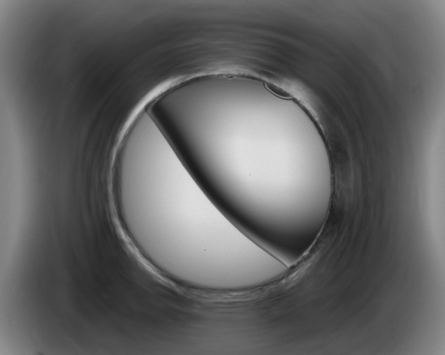 X0000085271142200703090910