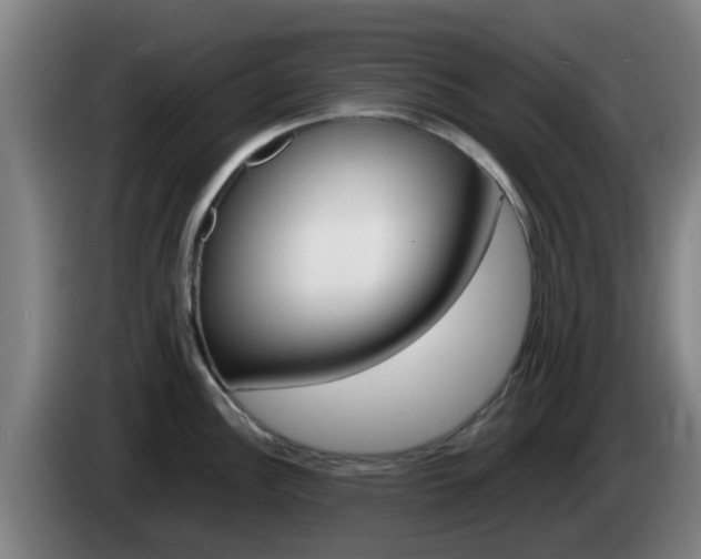 X0000085271148200703090910