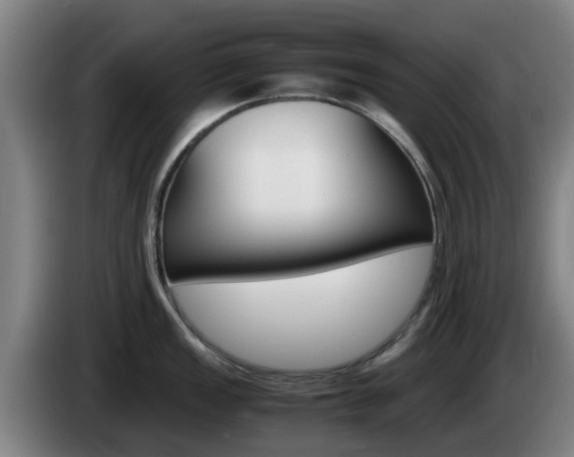 X0000085271149200703090910