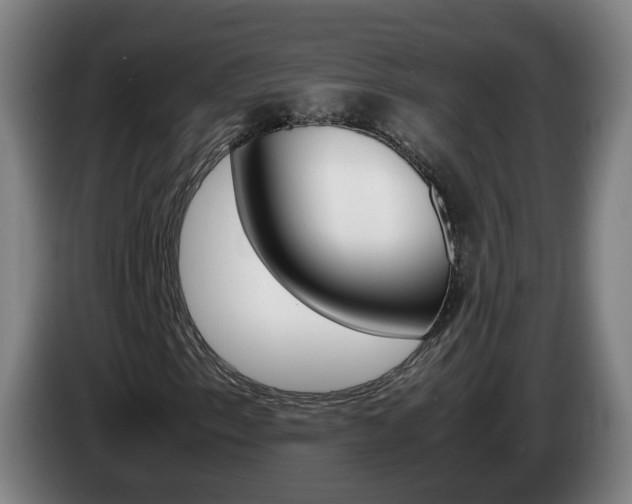 X0000085271153200703090910