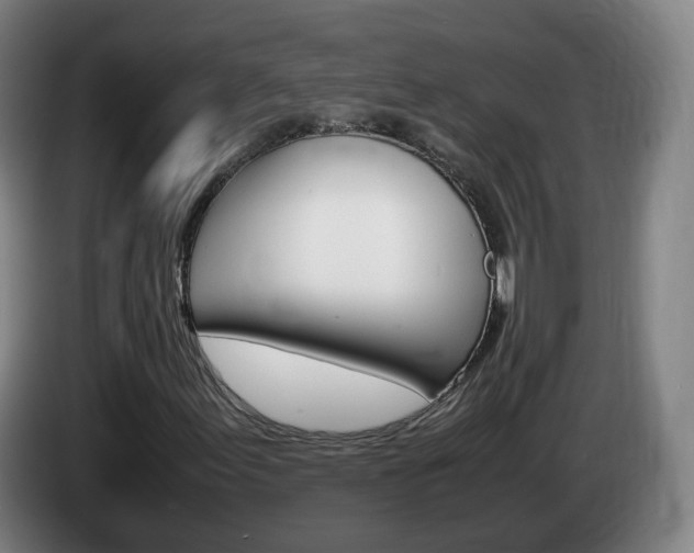X0000085271155200703090910