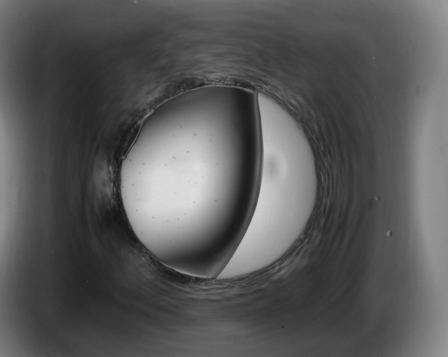 X0000085271156200703090909
