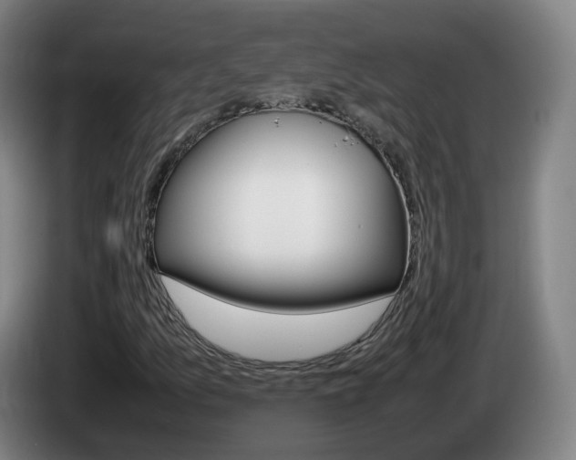 X0000085271157200703090909