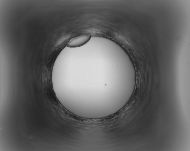 X0000085271158200703090909