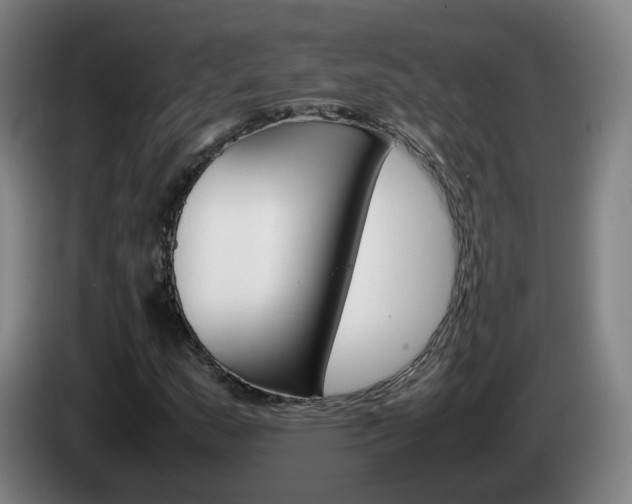 X0000085271159200703090909
