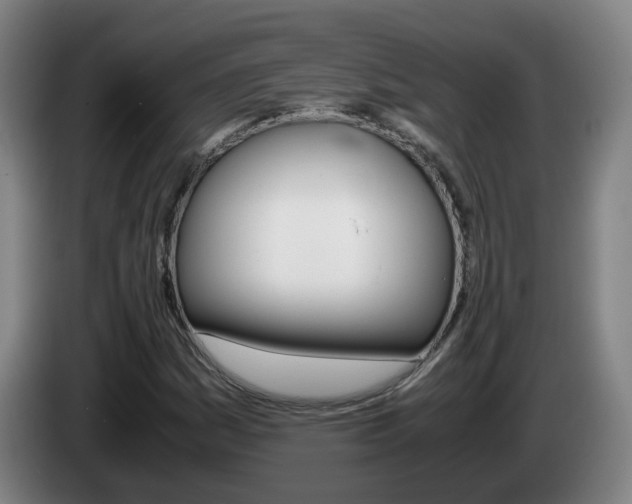 X0000085271161200703090909